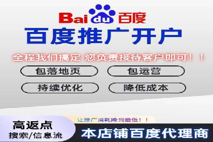 百度竞价关键词选择策略及成功案例分析